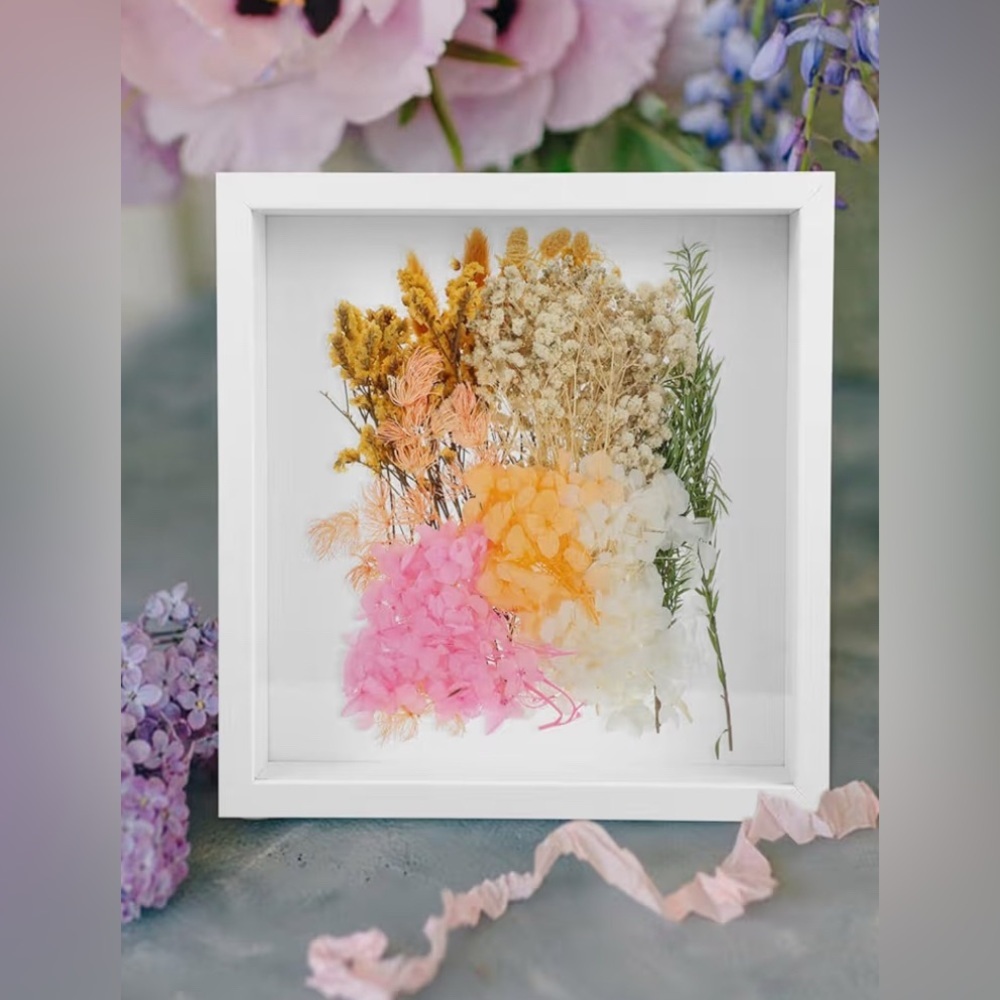 NEW- Set of TWO EMPTY Frames
Photos or Dried Flower Shadow Box 
white Frames